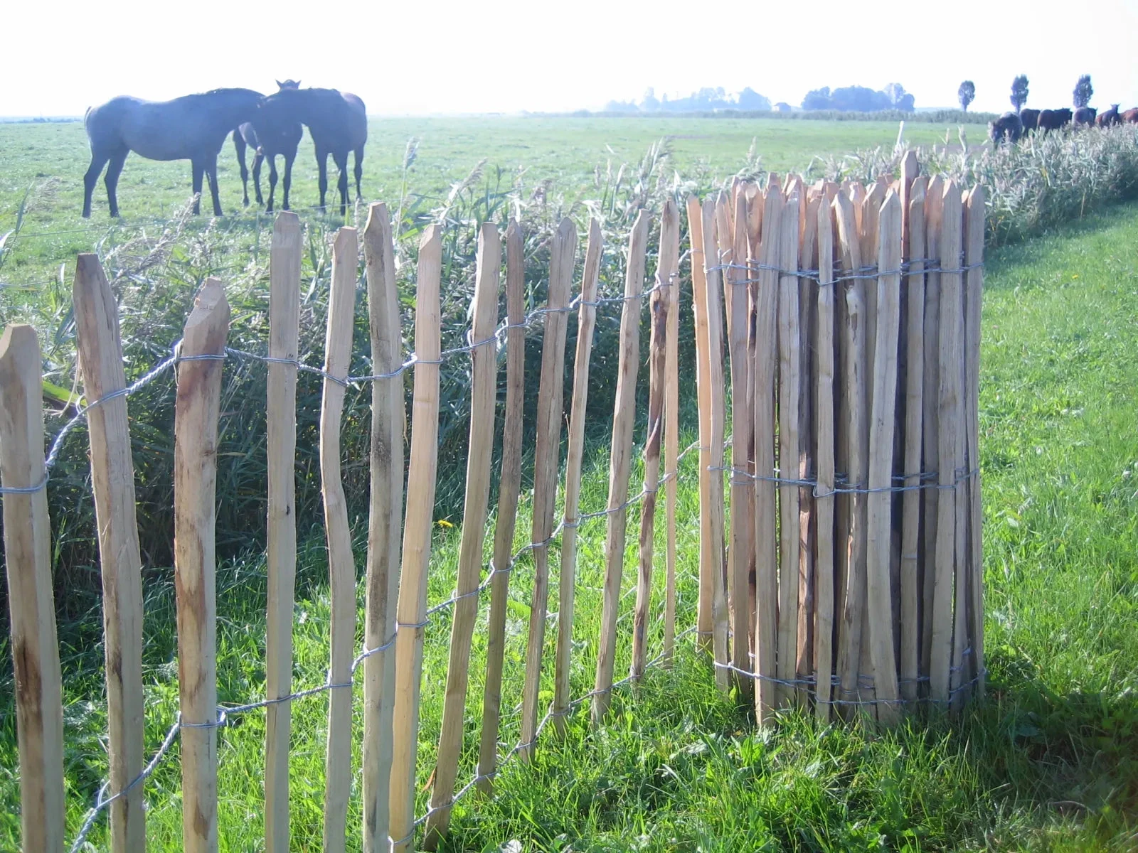 Kastanje Hek 5x90x460