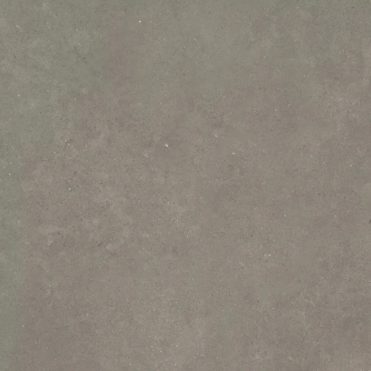 CeraSolid Cortona 60x60x3cm Musk