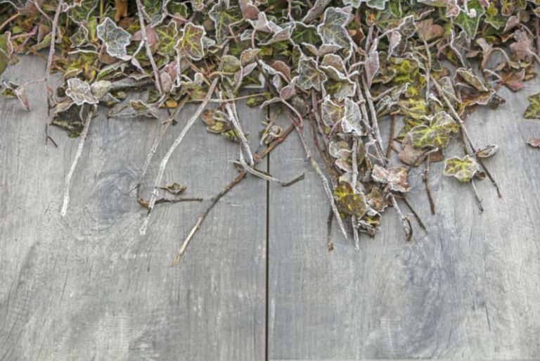 GeoCeramica® 2Drive 30x60x6cm Timber Grigio
