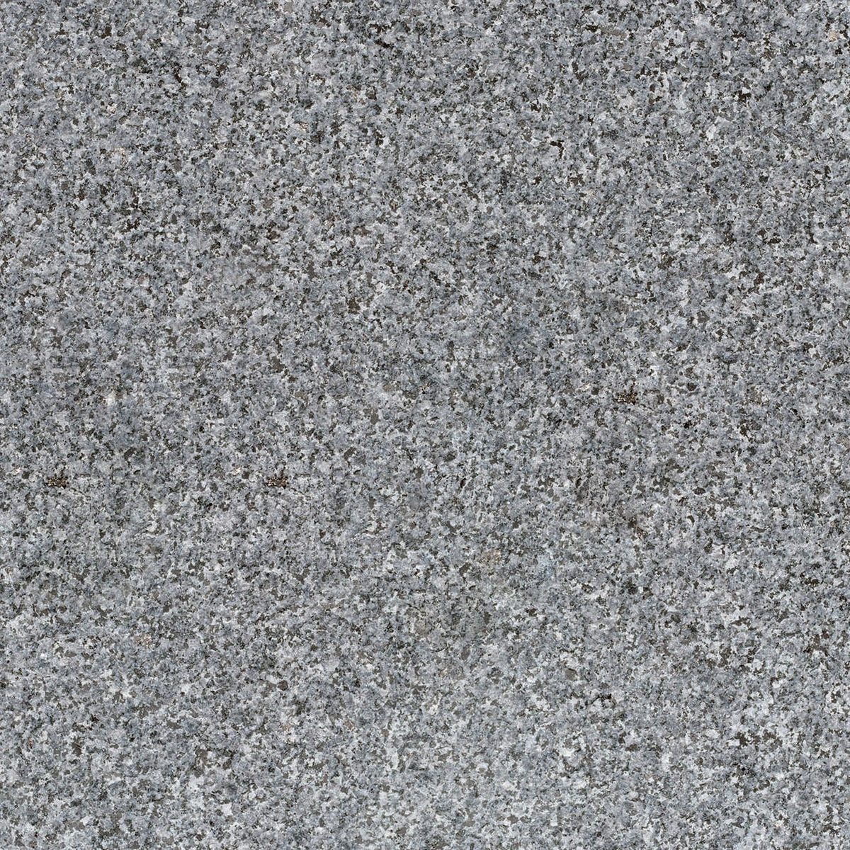 Tibet Dark Grey G654 100x100x3 cm