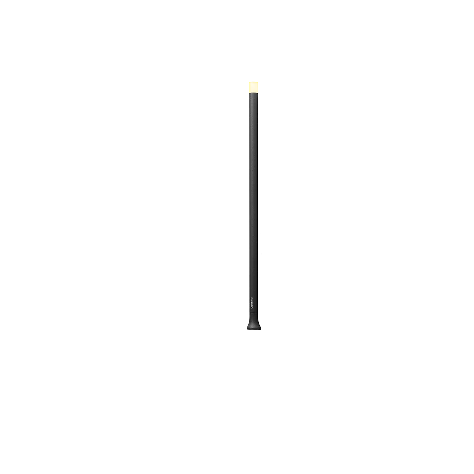 Light Pro Erba Mid 12V