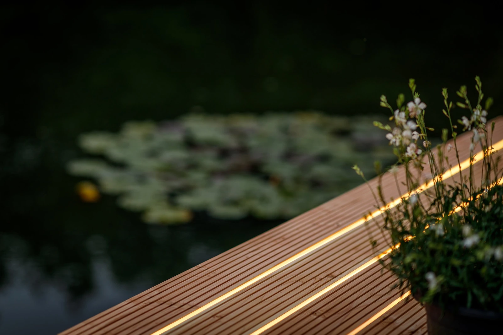 Light Pro Led strip 12V