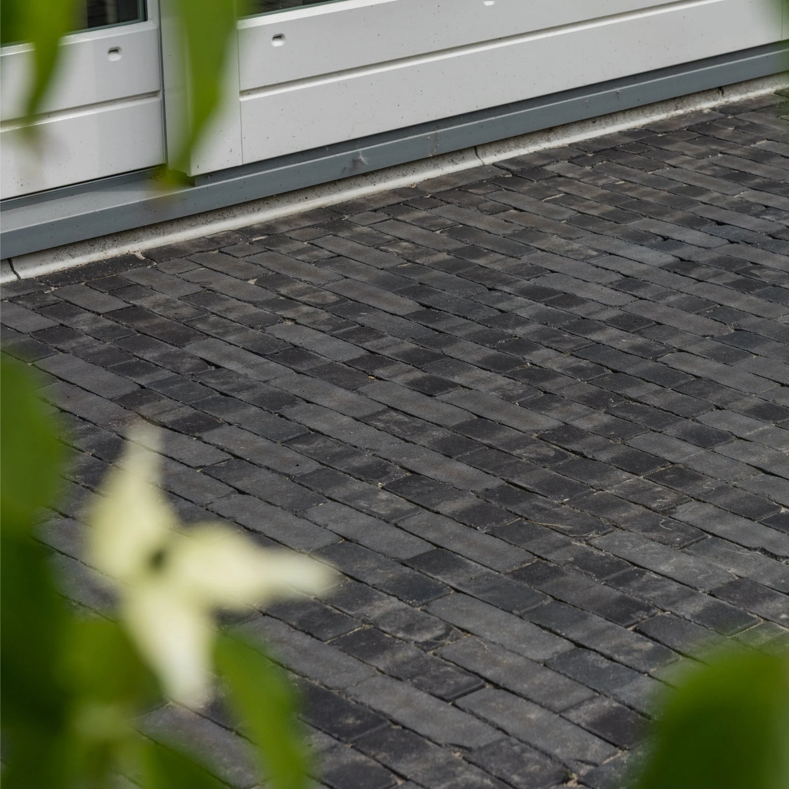 Lucca Antica getrommeld WF60