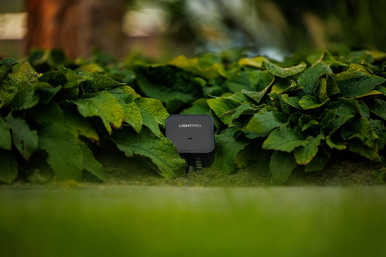 Light Pro Switch Smart 12V (Wi-Fi)