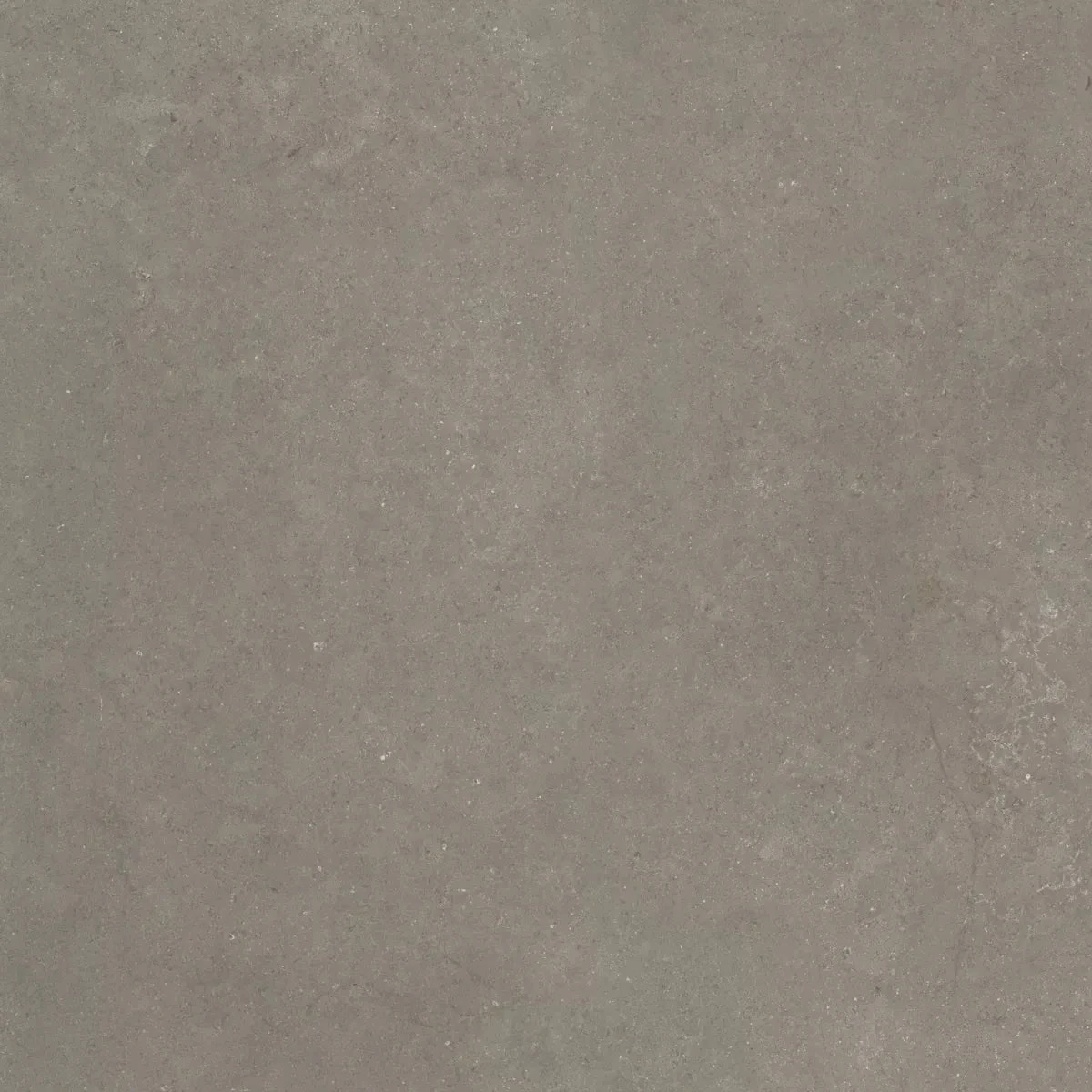 CeraSolid Cortona 60x60x3cm Musk