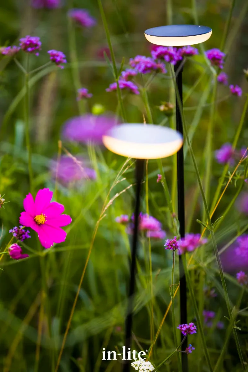 In-Lite Sway Tube Low 60cm Solitary