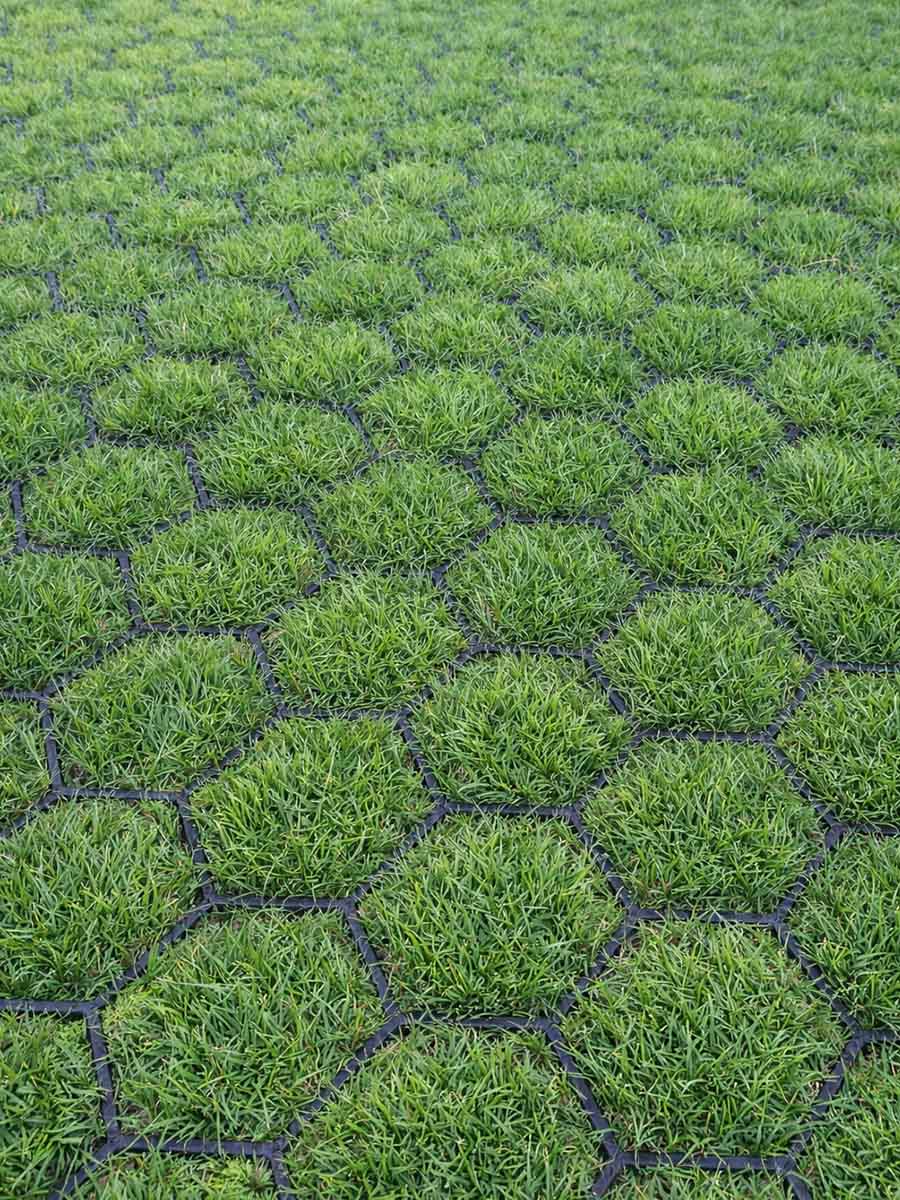 Grasroosters Easygravel® 3XL zwart per m²