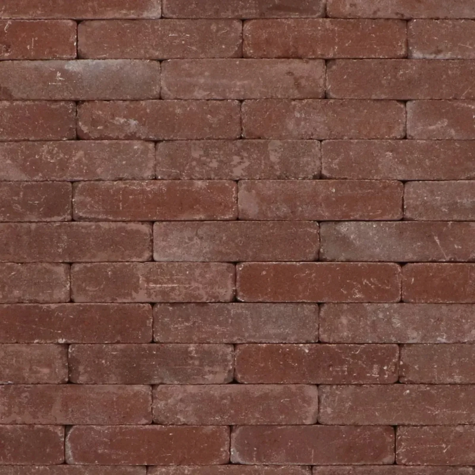 Tambour Beemsters bont 20x7x5cm