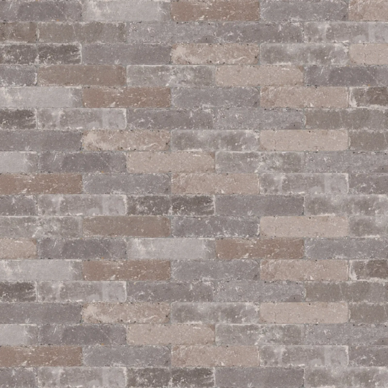 Abbeystones Casamari 20x5cm