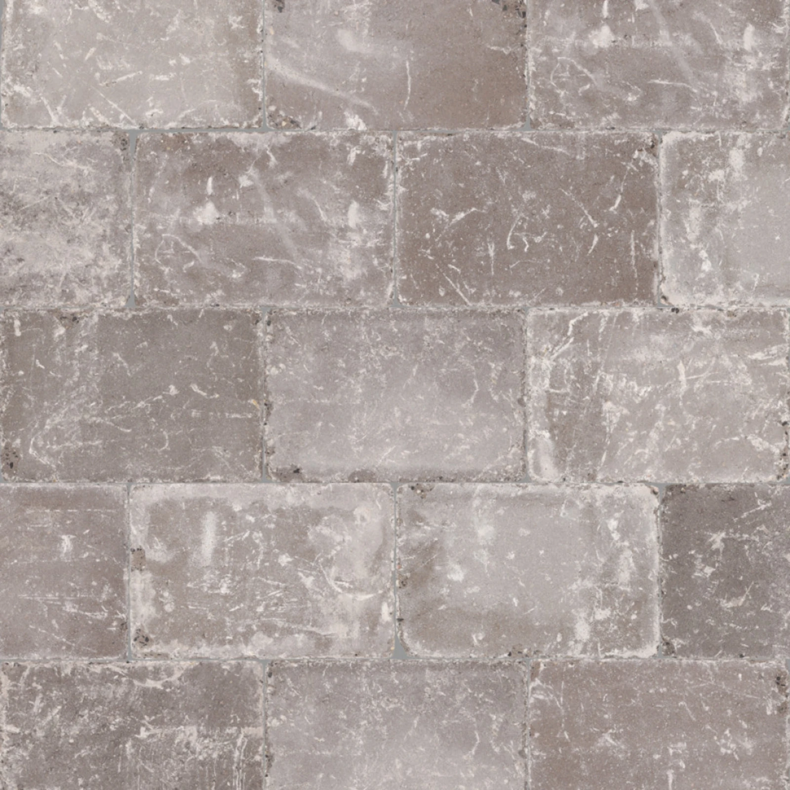Abbeystones Certosa 30x20cm
