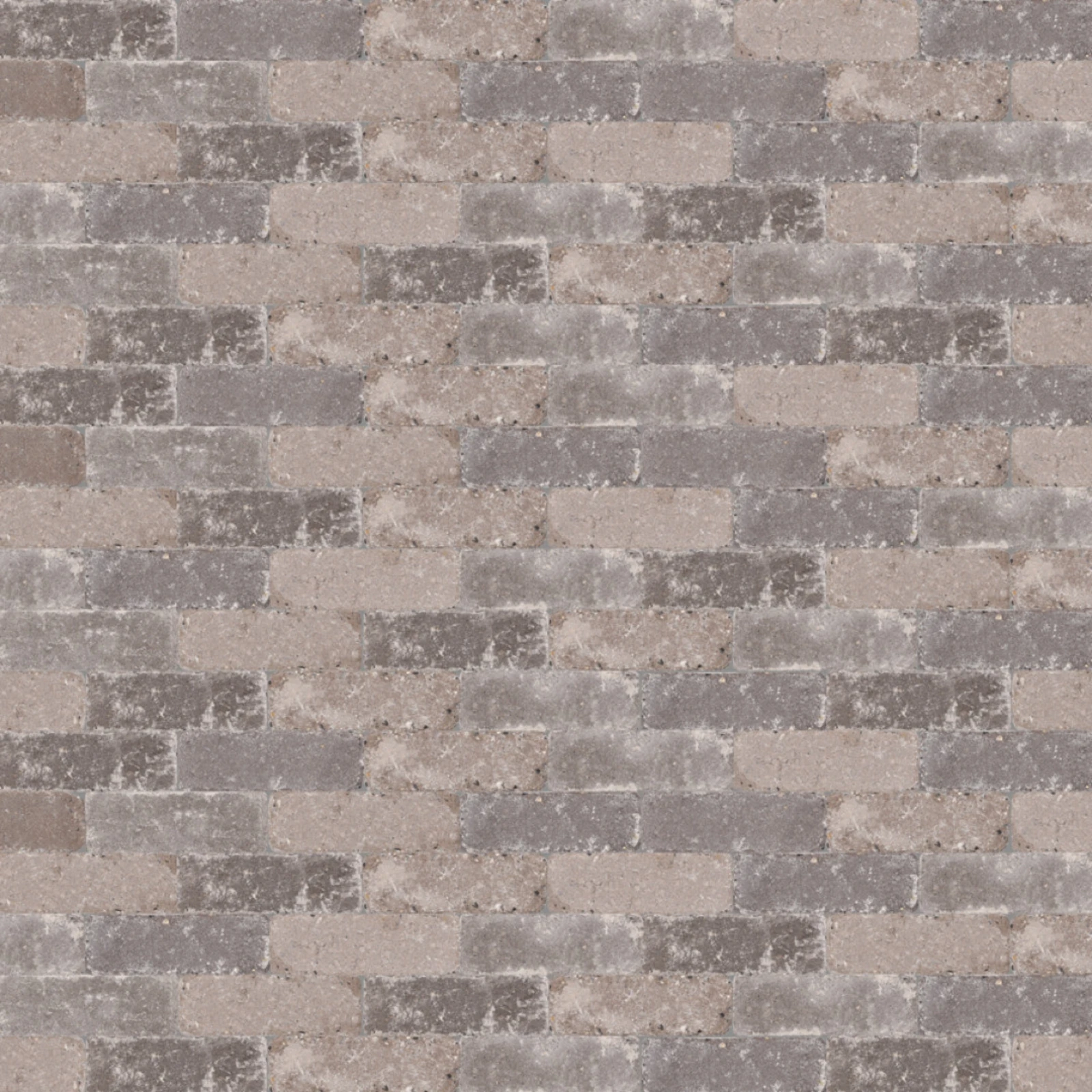 Abbeystones Casamari 15x5cm