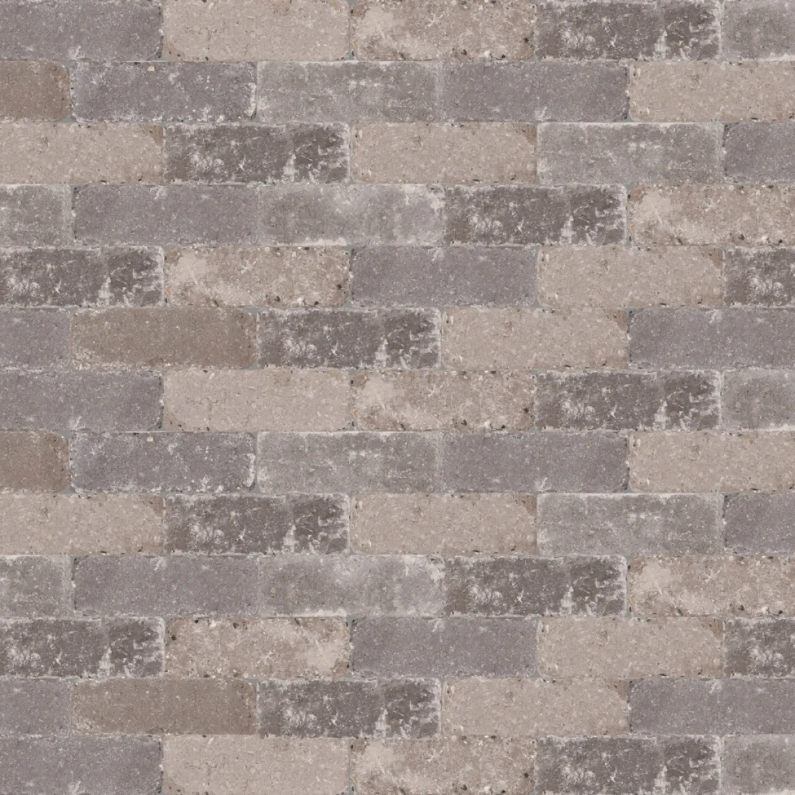 Abbeystones Casamari 21x7cm