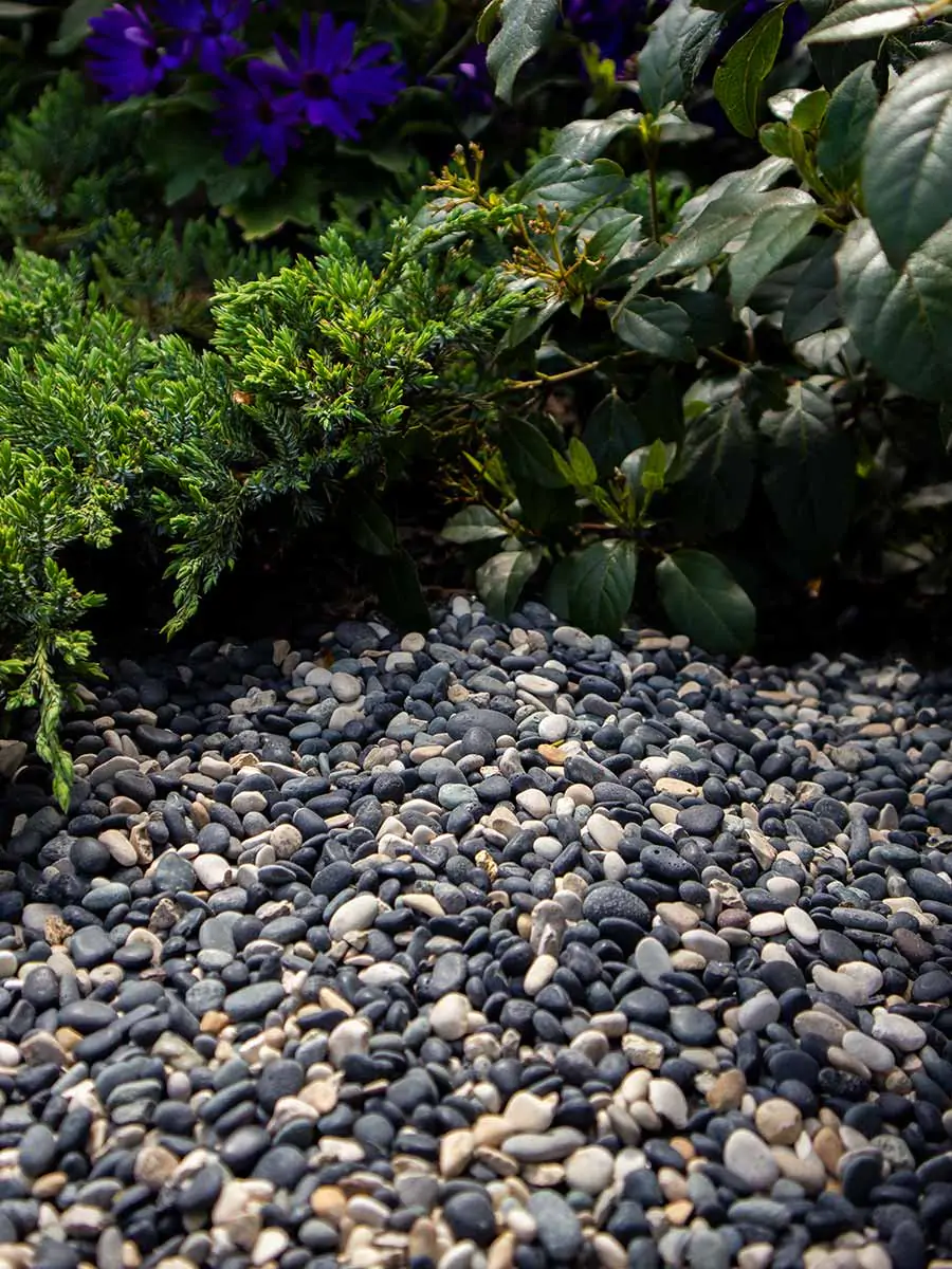 Natural blend pebbles