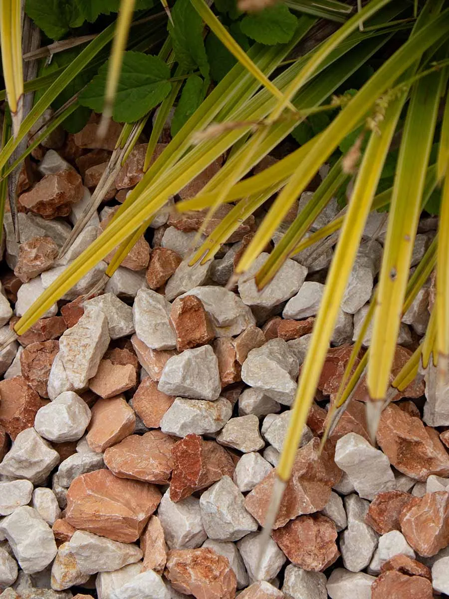 Mediterranea split