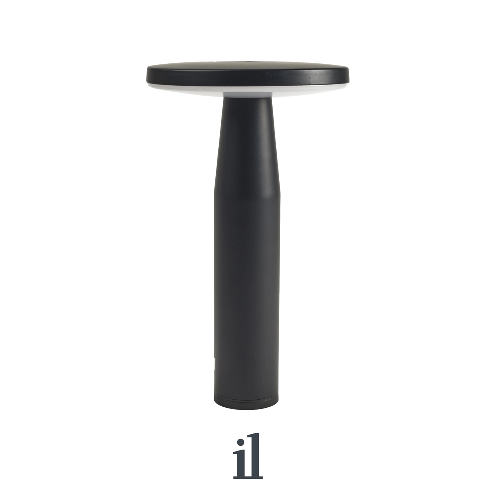 In-Lite DISC LOW