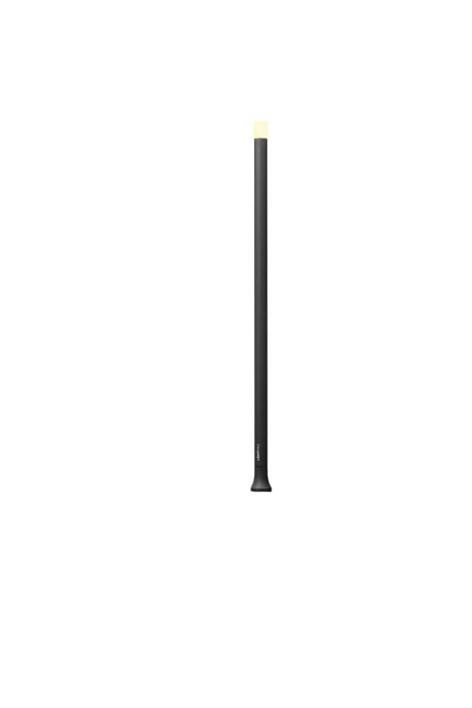 Light Pro Erba Mid 12V