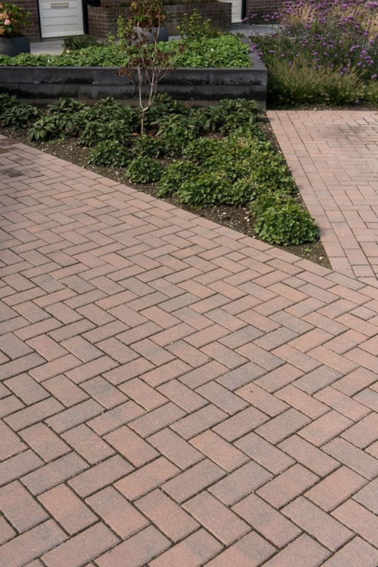 Tuinpad van Tremico BKK Brons langs groene borders