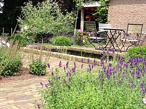 moderne tuin tuinen mecklenfeld vijver border natuurlijk 1170x468